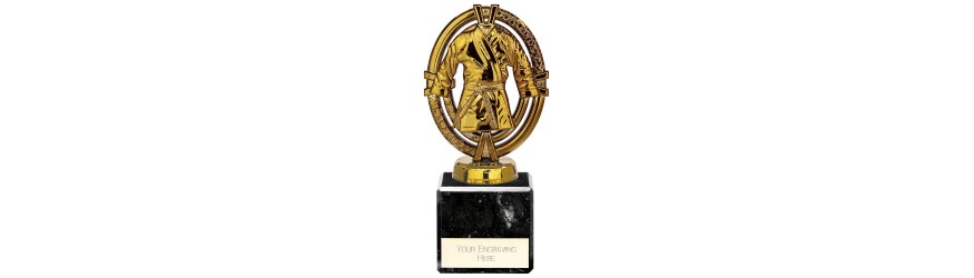 MAVERICK LEGEND MARTIAL ARTS LEGEND TROPHY - 5 SIZES - 12.5CM - 20CM